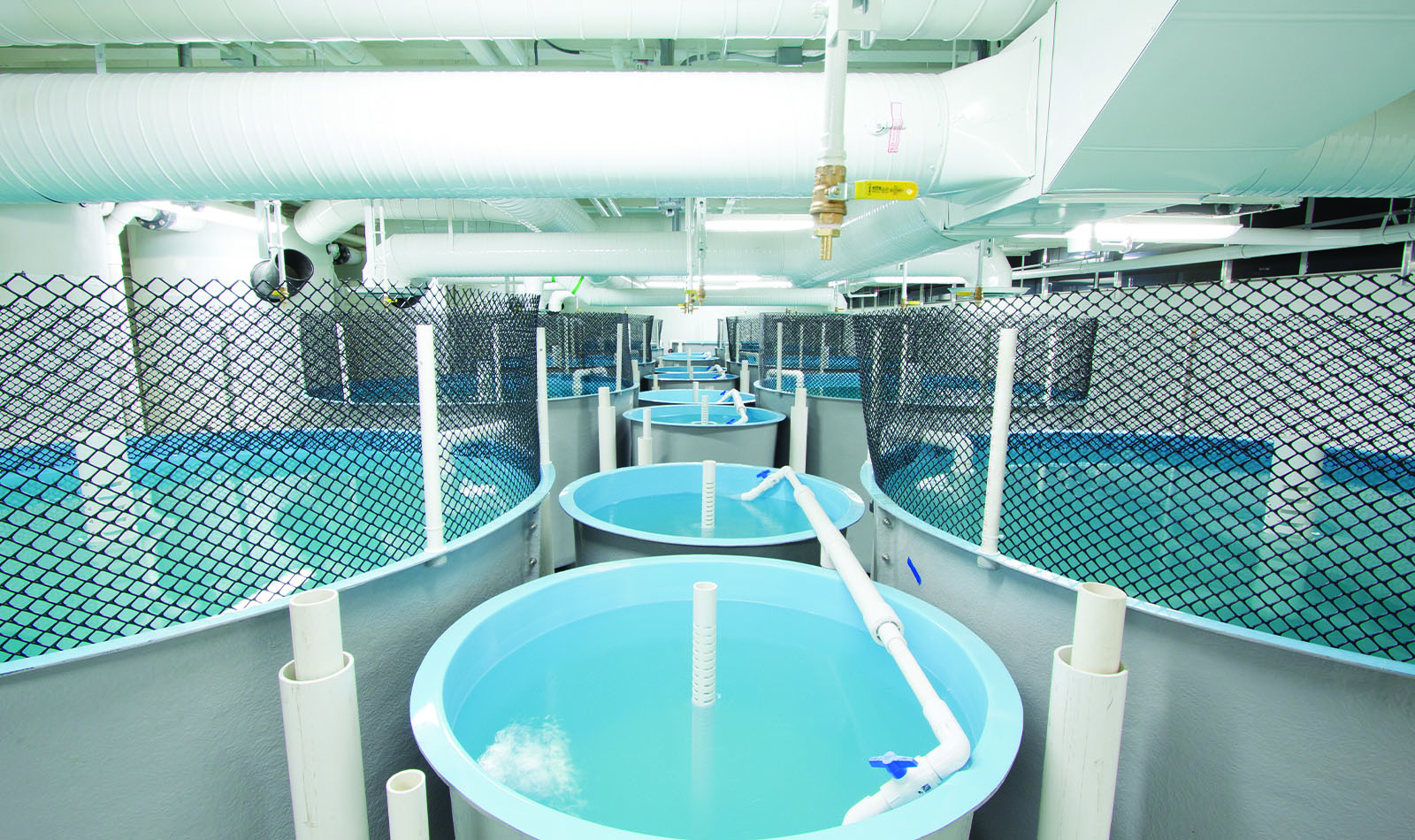 Aquatic Equipment Supply & Integrated Systems IAS, Inc.